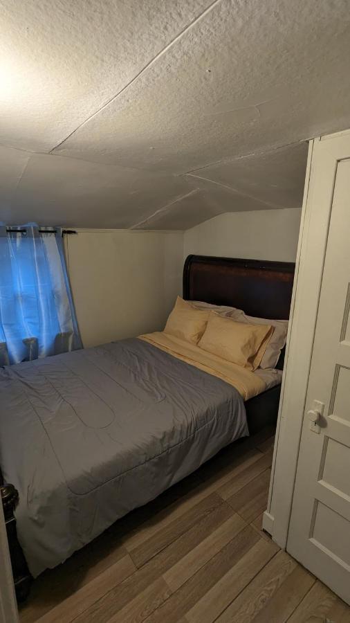 Cozy Downtown One Bedroom Free Parking Kingston Eksteriør billede