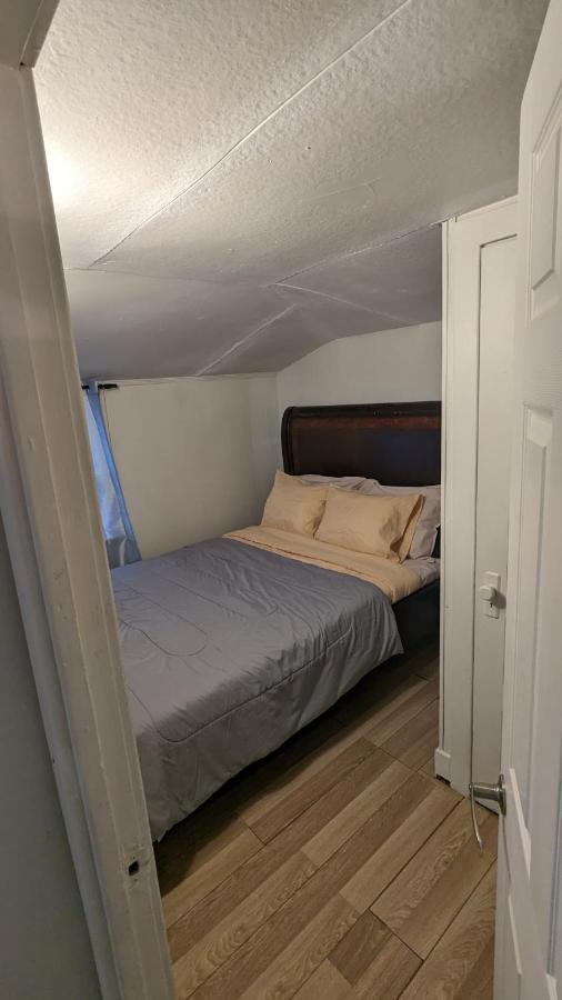 Cozy Downtown One Bedroom Free Parking Kingston Eksteriør billede